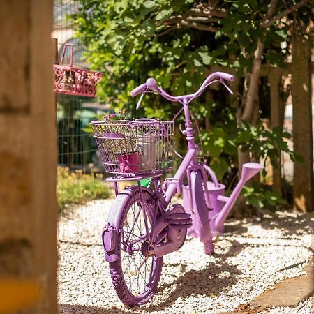 Casa Parenzana Διαμέρισμα Πόρετς Εξωτερικό φωτογραφία